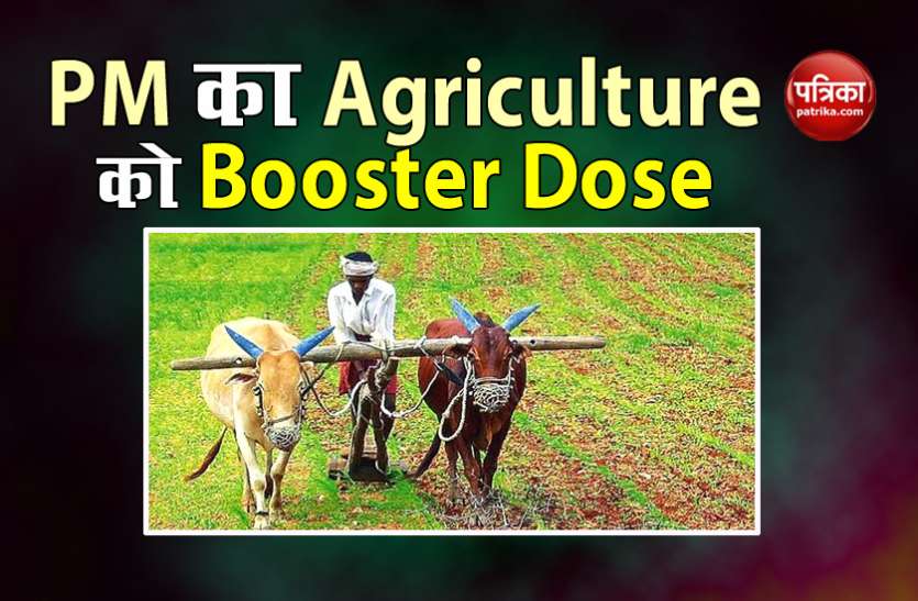 PM Modi के Booster Dose से Agriculture Sector में कैसे होगा सुधार, जानिए यहां