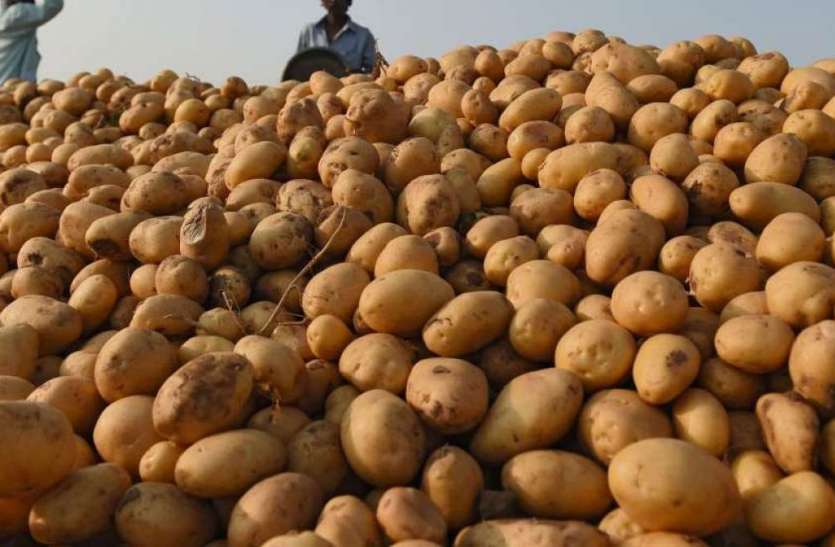 दो महीने में Potato Price हुआ दोगुना महंगा, Green Vegetables Price में भी 200 फीसदी तक इजाफा